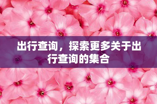 探索更多关于出行查询的集合图片