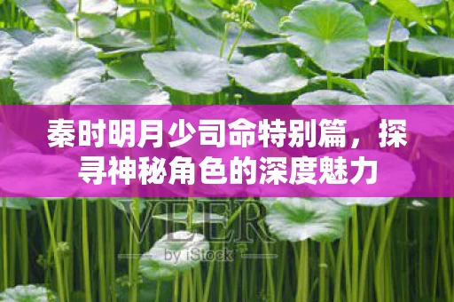 探寻神秘角色的深度魅力图片