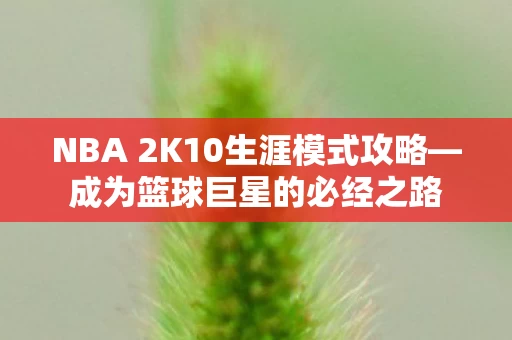 NBA 2K10生涯模式攻略图片