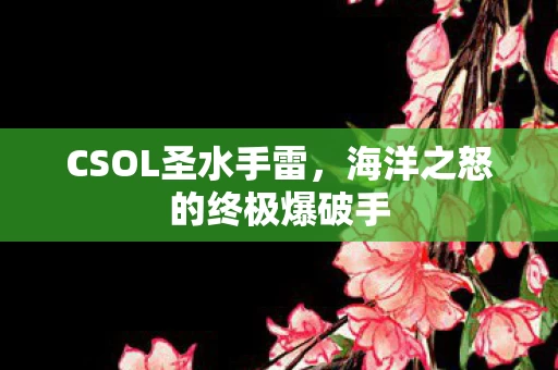 海洋之怒的终极爆破手图片