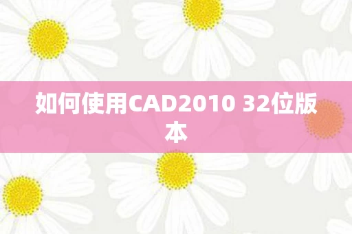如何使用CAD2010 32位版本图片