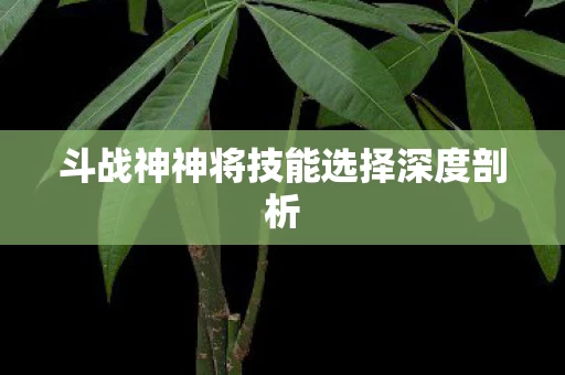 斗战神神将技能选择深度剖析图片