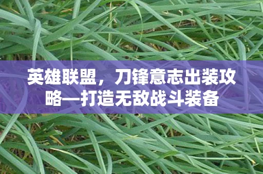 刀锋意志出装攻略图片
