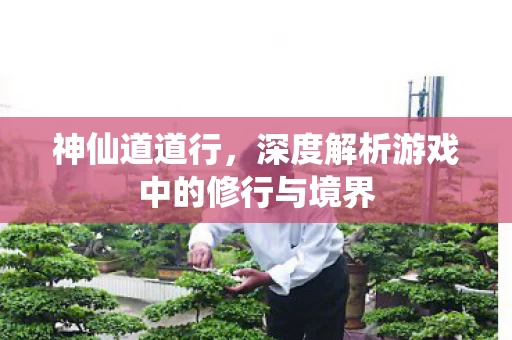 深度解析游戏中的修行与境界图片