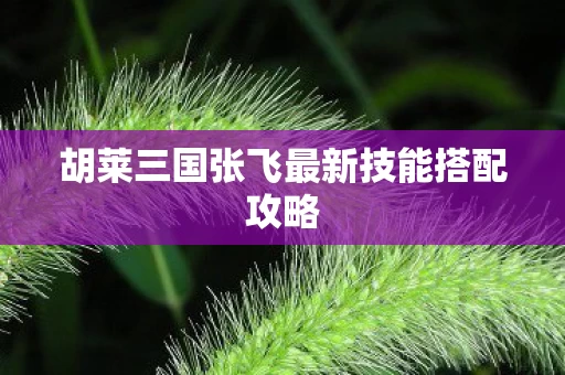 胡莱三国张飞最新技能搭配攻略图片