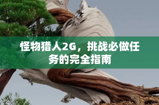 挑战必做任务的完全指南图片
