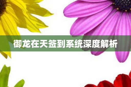 御龙在天签到系统深度解析图片
