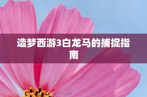 造梦西游3白龙马的捕捉指南图片