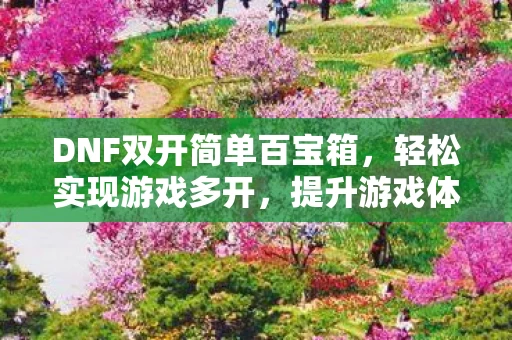 DNF双开简单百宝箱图片