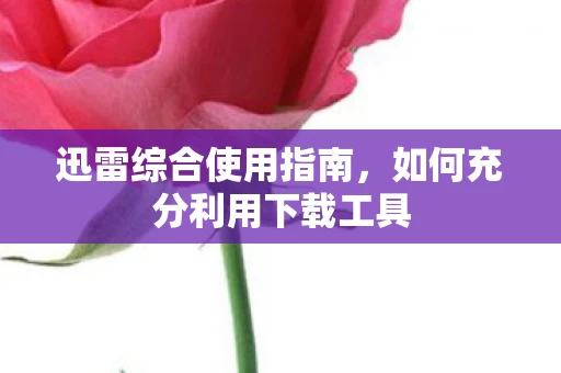 如何充分利用下载工具图片