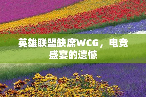英雄联盟缺席WCG图片