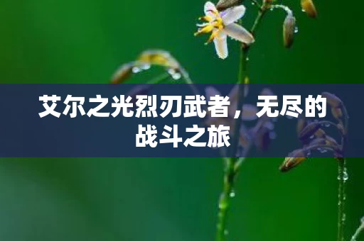 艾尔之光烈刃武者图片