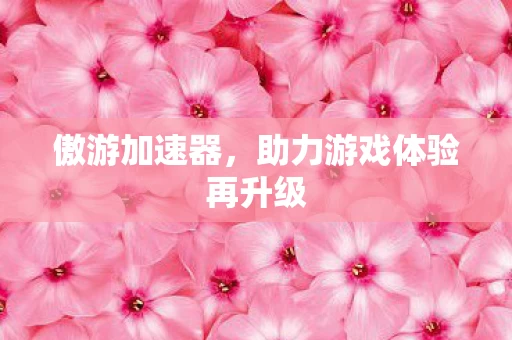 助力游戏体验再升级图片