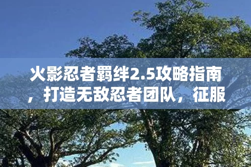 打造无敌忍者团队图片