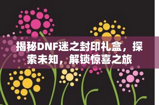 揭秘DNF迷之封印礼盒图片