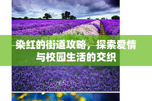 探索爱情与校园生活的交织图片