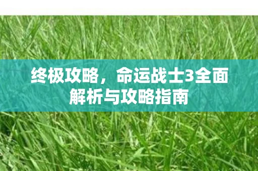 命运战士3全面解析与攻略指南图片