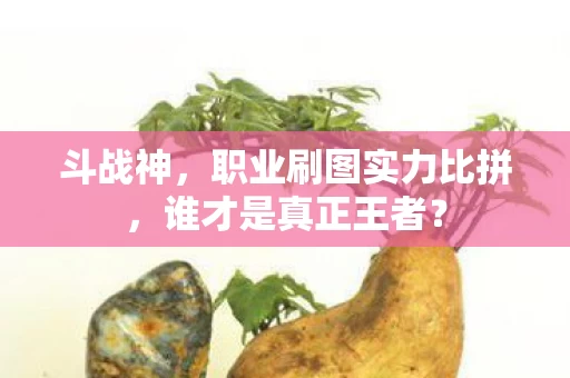 职业刷图实力比拼图片