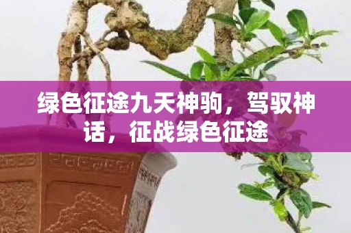 绿色征途九天神驹图片