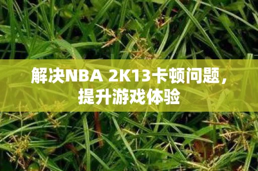 解决NBA 2K13卡顿问题图片
