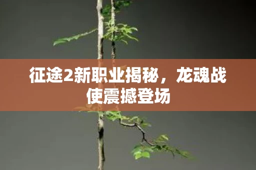 征途2新职业揭秘图片