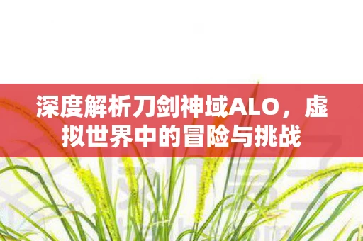 深度解析刀剑神域ALO图片