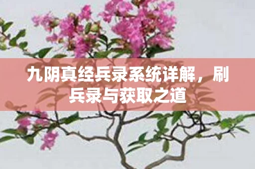 九阴真经兵录系统详解图片