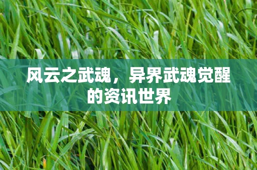 异界武魂觉醒的资讯世界图片