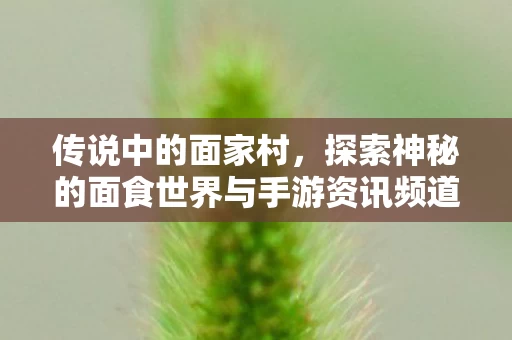 探索神秘的面食世界与手游资讯频道图片