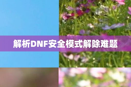 解析DNF安全模式解除难题图片