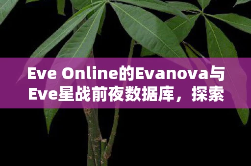 Eve Online的Evanova与Eve星战前夜数据库图片