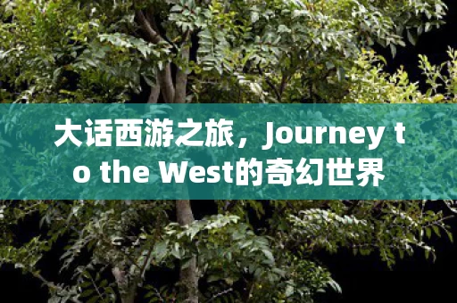 Journey to the West的奇幻世界图片