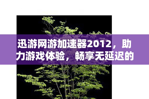 迅游网游加速器2012图片