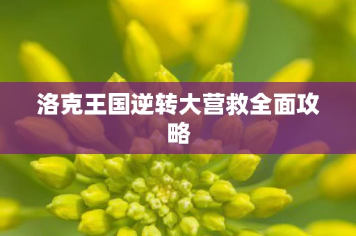 洛克王国逆转大营救全面攻略图片