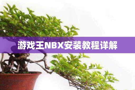 游戏王NBX安装教程详解图片