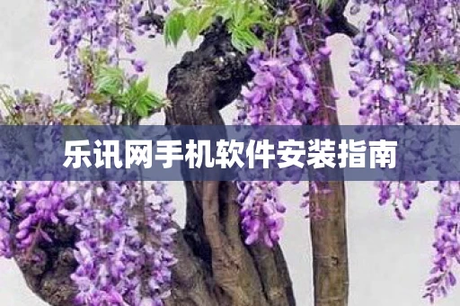 乐讯网手机软件安装指南图片