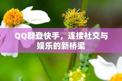 连接社交与娱乐的新桥梁图片