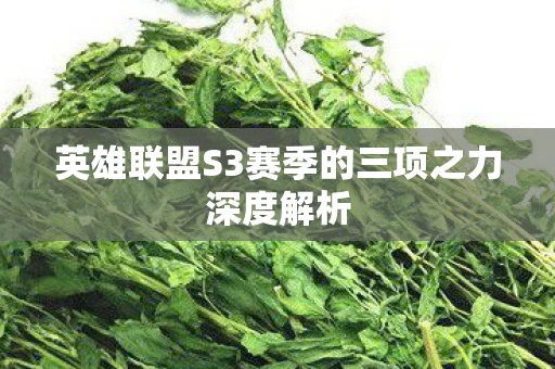 英雄联盟S3赛季的三项之力深度解析图片