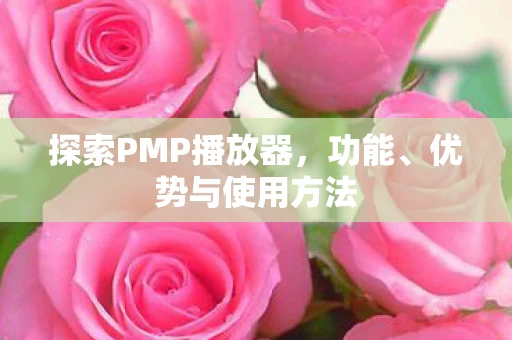 探索PMP播放器图片