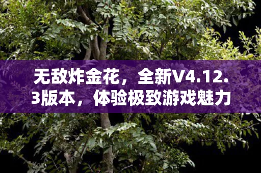 体验极致游戏魅力图片