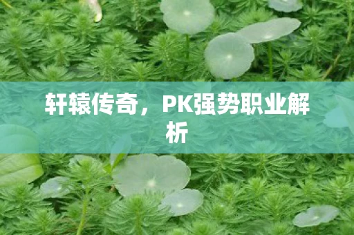 PK强势职业解析图片