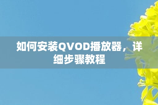 如何安装QVOD播放器图片