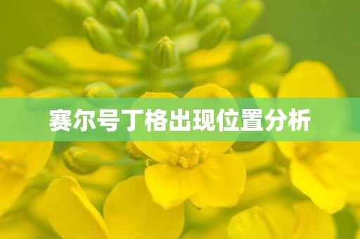 赛尔号丁格出现位置分析图片