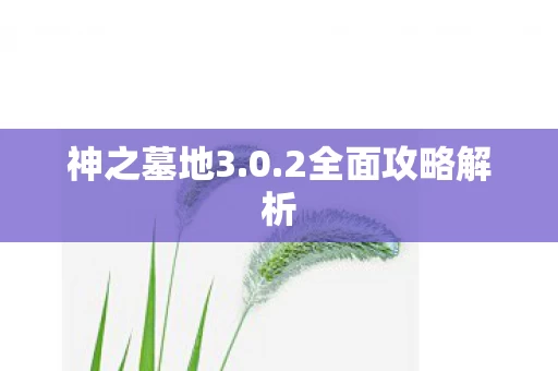 2全面攻略解析图片