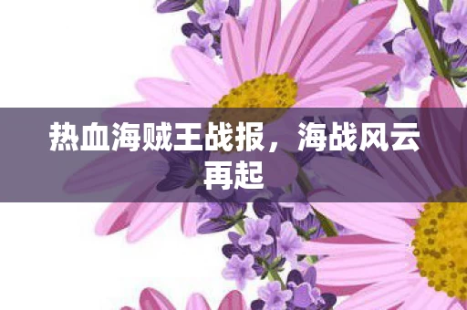 热血海贼王战报图片