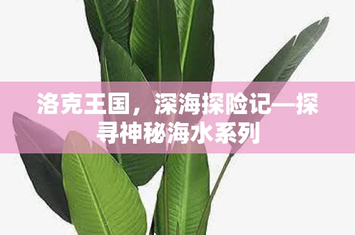 探寻神秘海水系列图片