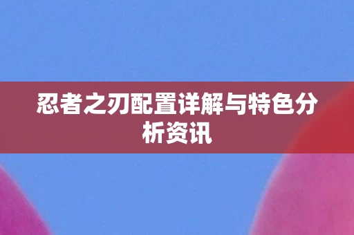 忍者之刃配置详解与特色分析资讯图片