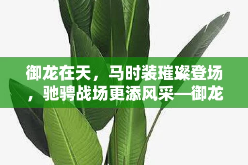 驰骋战场更添风采图片
