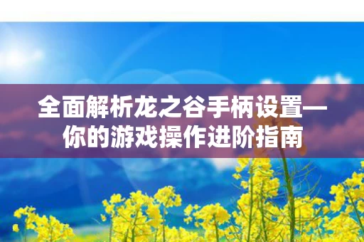 全面解析龙之谷手柄设置图片