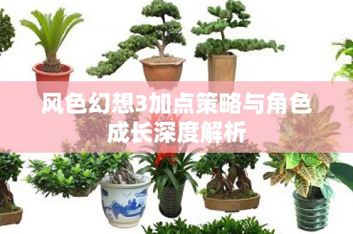 风色幻想3加点策略与角色成长深度解析图片